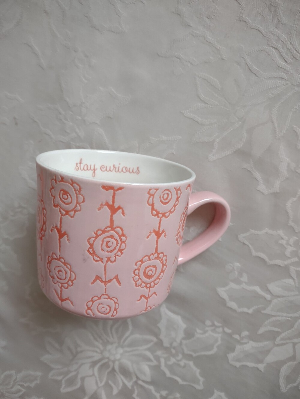 Stay Curious Stoneware Opalhouse Mug